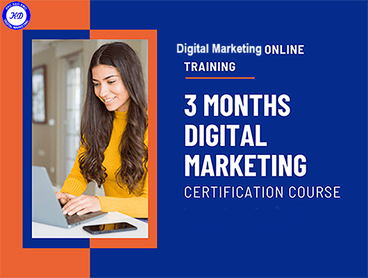 Classroom and online training 3 months digital marketing certification course
